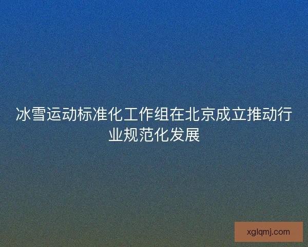 冰雪运动标准化工作组在北京成立推动行业规范化发展