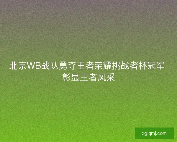 北京WB战队勇夺王者荣耀挑战者杯冠军 彰显王者风采
