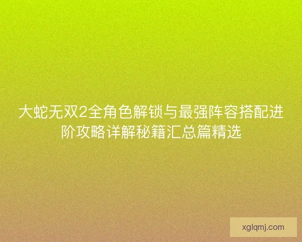大蛇无双2全角色解锁与最强阵容搭配进阶攻略详解秘籍汇总篇精选