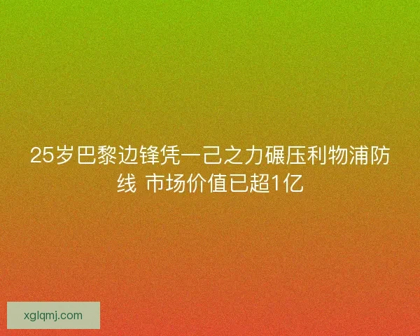 25岁巴黎边锋凭一己之力碾压利物浦防线 市场价值已超1亿 25岁巴黎边锋凭一己之力碾压利物浦防线 市场价值已超1亿